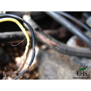 Honda's Solution to Stop mice nibbling Car Wires